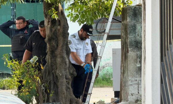 89650aa8-7de4-48a7-a168-f4ac667f089e