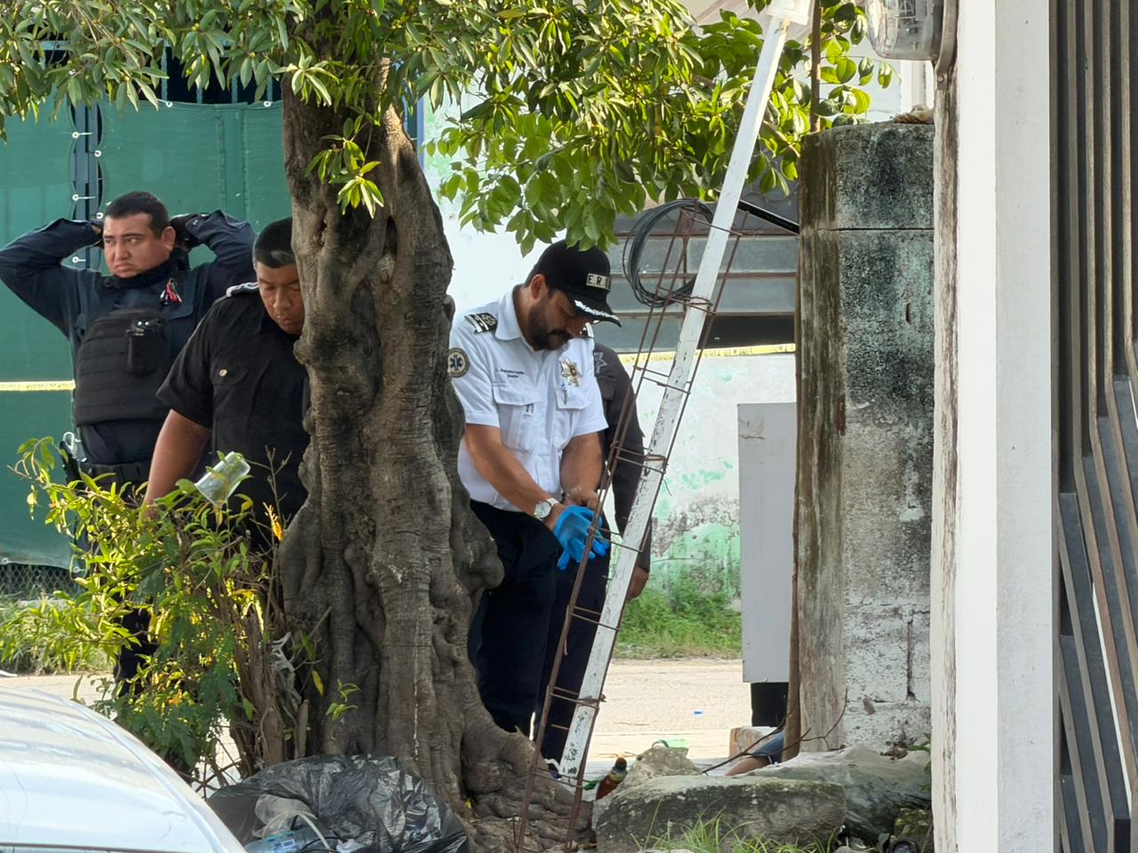 89650aa8-7de4-48a7-a168-f4ac667f089e