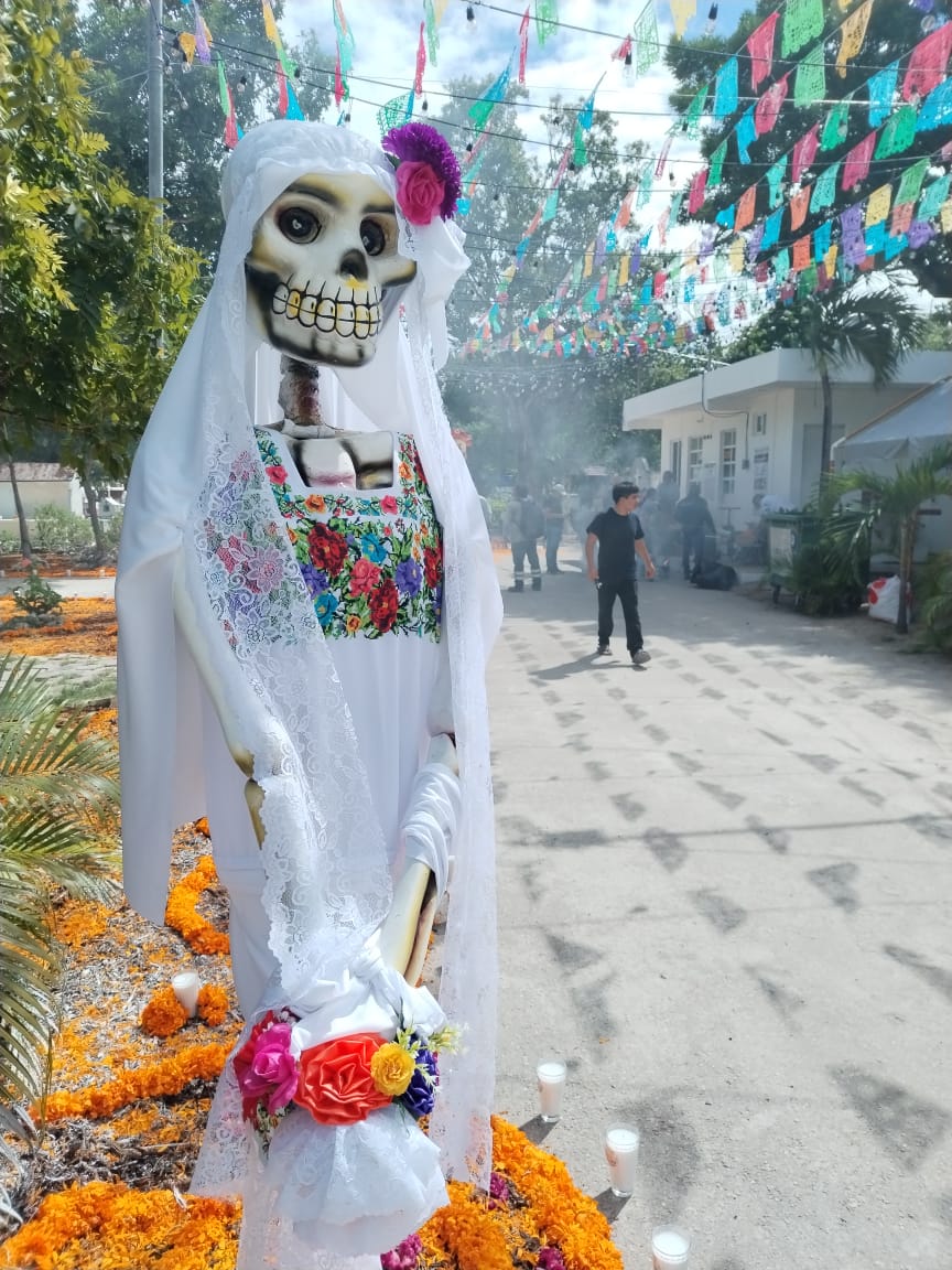 8ae7e4cc-89c7-4a15-bfdb-8c5618ef253e 8ae7e4cc-89c7-4a15-bfdb-8c5618ef253e