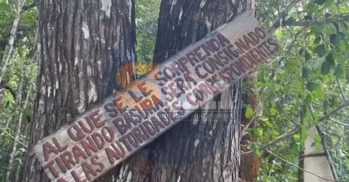 97b18145-872e-4656-b8df-20e178437a5c