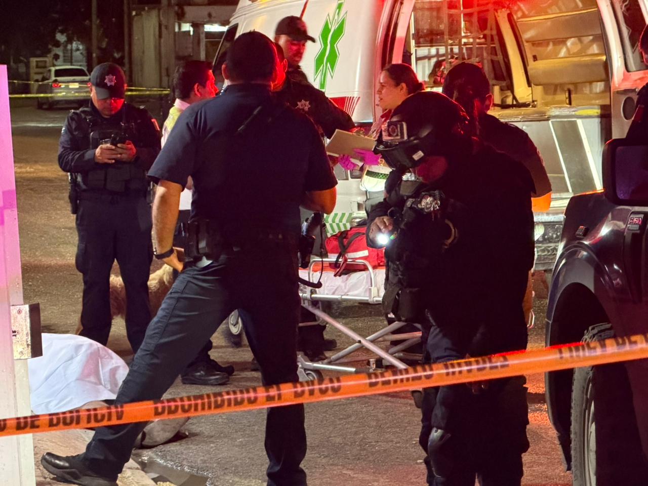 b584f6b9-bf2b-47e8-a535-21ca742f46f3