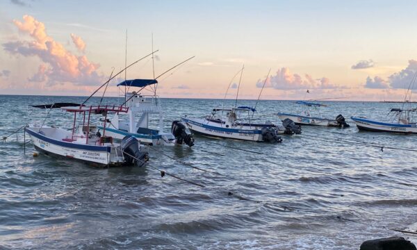 c11bf89c-e2ad-4aa9-8523-e2fc5a02b459