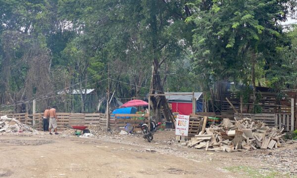 d505b1e0-7680-4c3b-b99d-c6fc619488fe