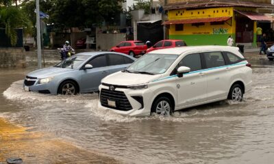 10e0fcf4-827a-4f93-aa96-31bb2050e678