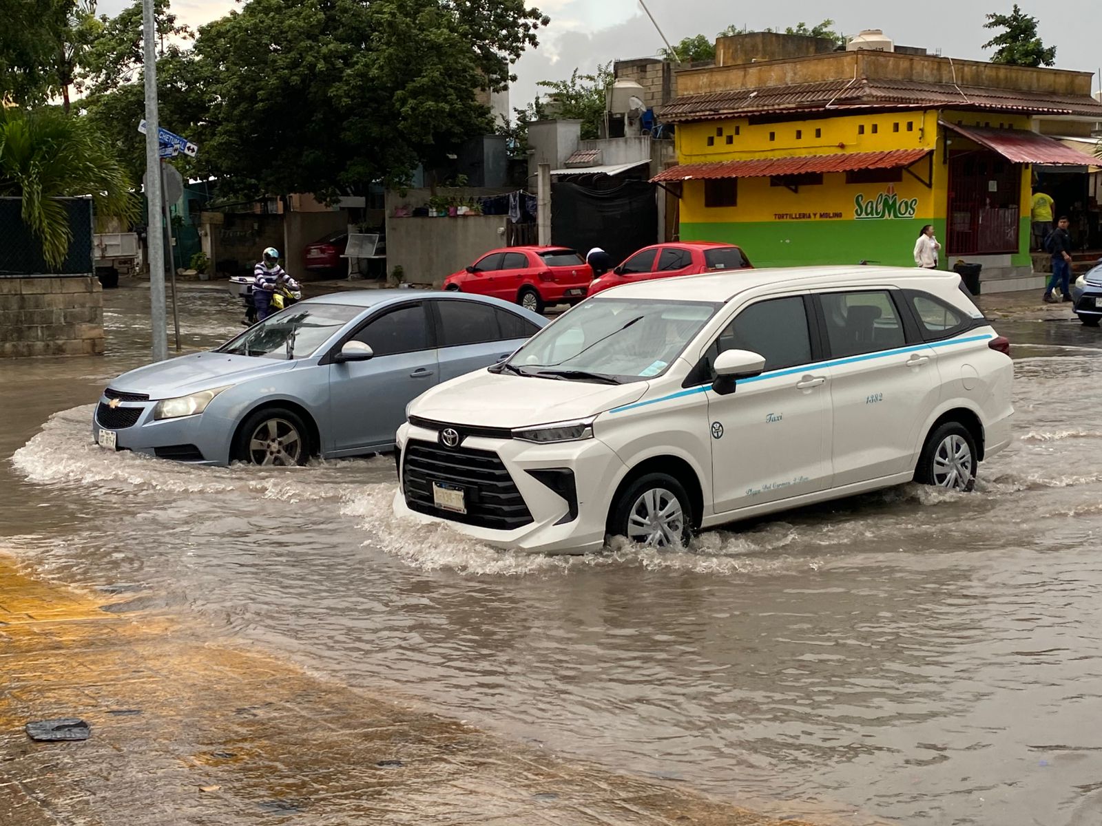 10e0fcf4-827a-4f93-aa96-31bb2050e678