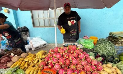 23e81474-a9b5-4ee9-bf55-d93449f40043