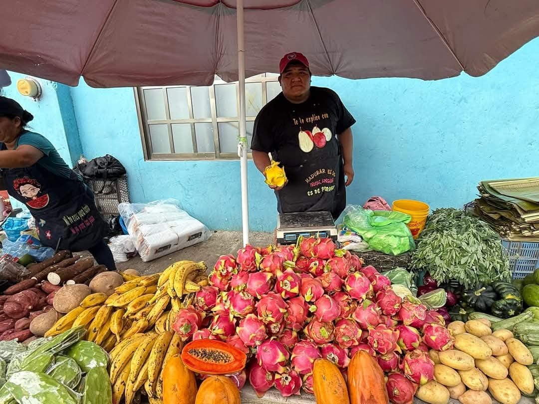 23e81474-a9b5-4ee9-bf55-d93449f40043