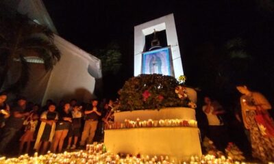 3446cbb7-db3d-4595-9c31-72bf0e0f6e7e