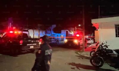 379c0447-ac1e-473e-987f-be1e8fa0ce0e