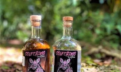 4239e821-e2c3-4396-91ed-2b7a6baa6ef2