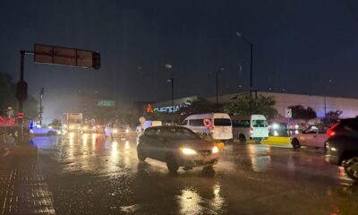 44449951-cee3-430a-b827-dc22630ef829