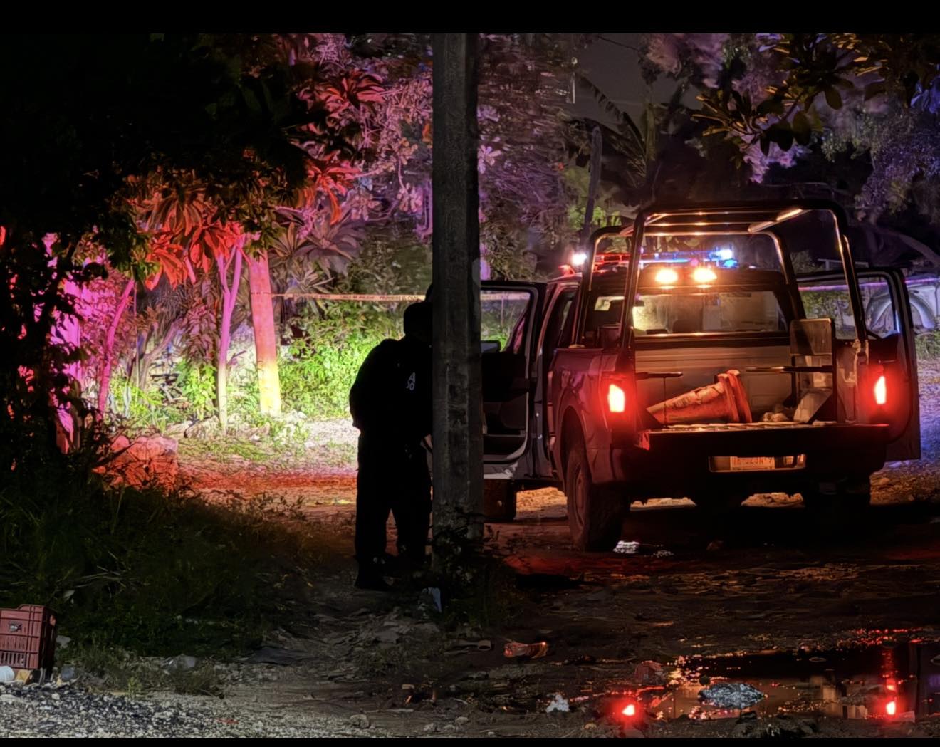 597054086_1394250962065722_566981929712818893_n