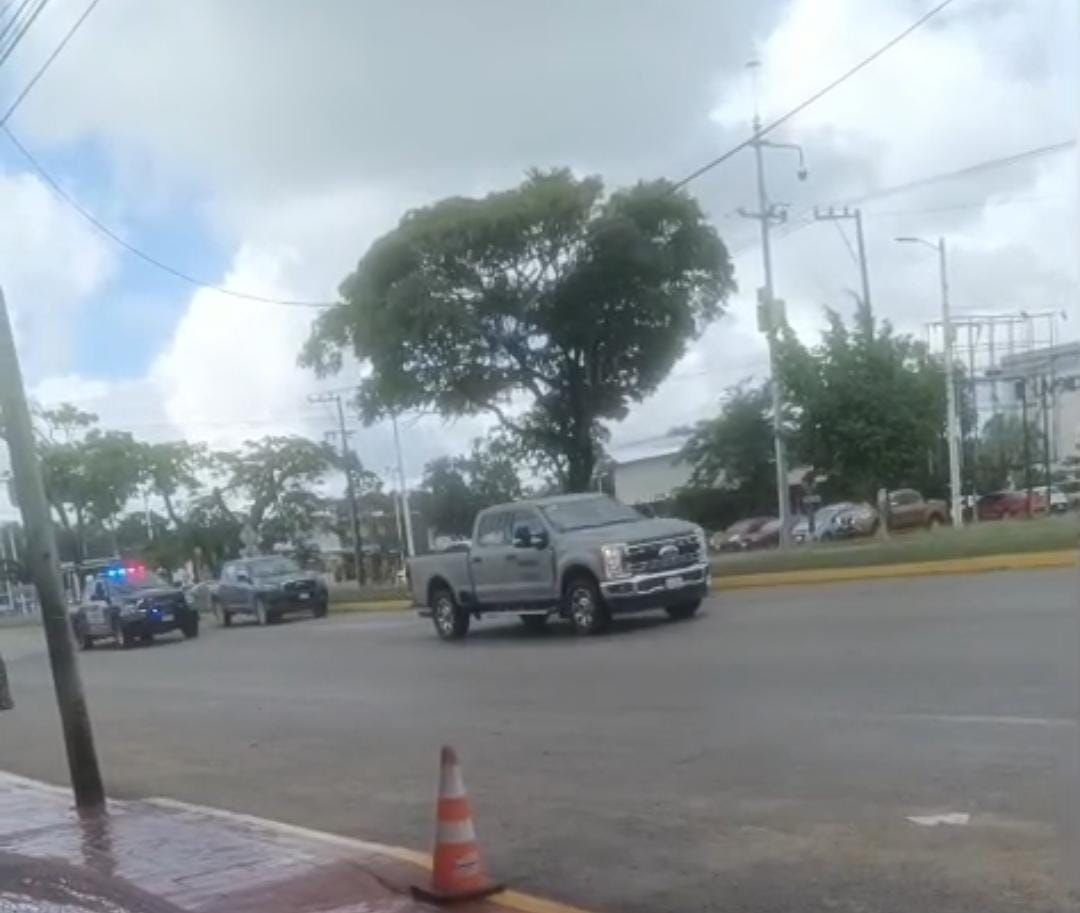 598263679_2877049609170992_2332833212290365491_n