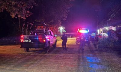 605123539_1428244355336621_8356418988532545269_n