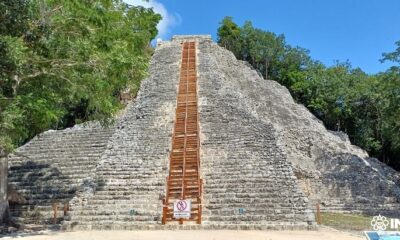 6913b296-fe09-433c-9787-9b7688c75a0f