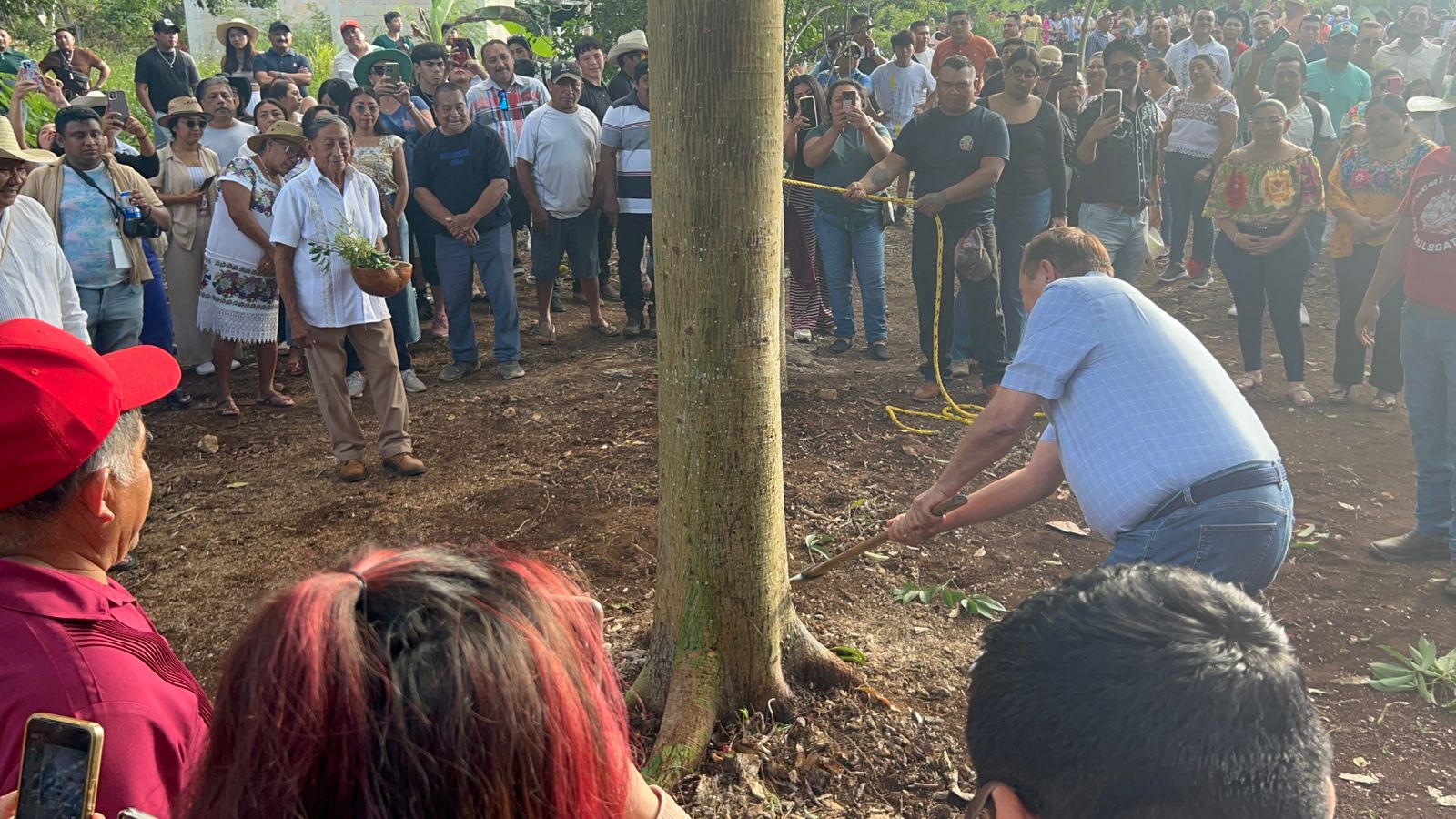 7e6e2b9e-4350-4c4a-97a7-27bbad3e47f1