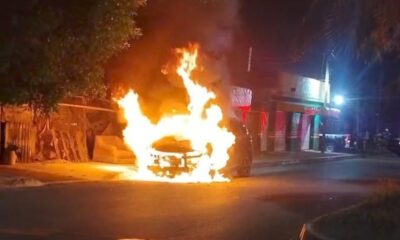 8c5d7b35-6404-4856-a9c5-1eebf3605334