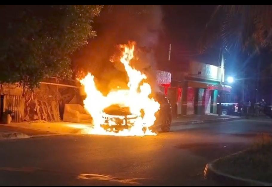 8c5d7b35-6404-4856-a9c5-1eebf3605334