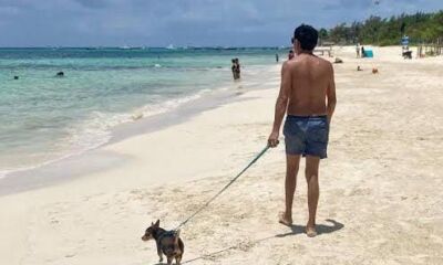 8e7d6aec-3113-4d26-ae43-4bbe023603e7