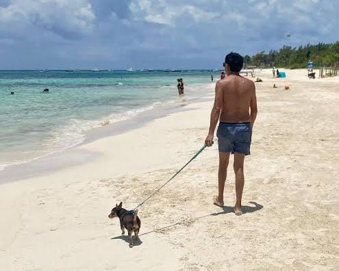 8e7d6aec-3113-4d26-ae43-4bbe023603e7