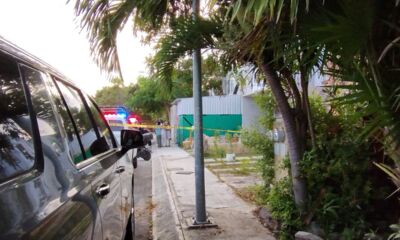 94735d2a-a7b2-423d-bc9c-dcd46d690c20