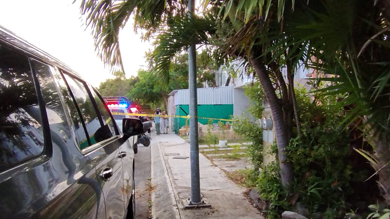 94735d2a-a7b2-423d-bc9c-dcd46d690c20