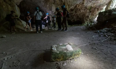 Tren Maya afectaciones ambientales Semarnat 1239826329