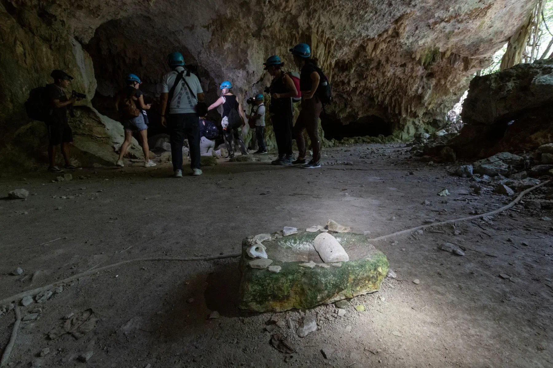 Tren Maya afectaciones ambientales Semarnat 1239826329