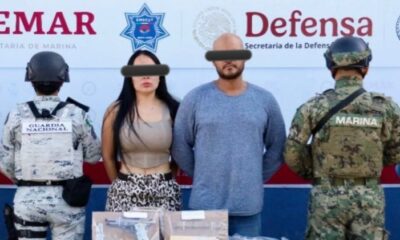 a2d73fe7-dfeb-4c76-b742-ed147d4e5d59