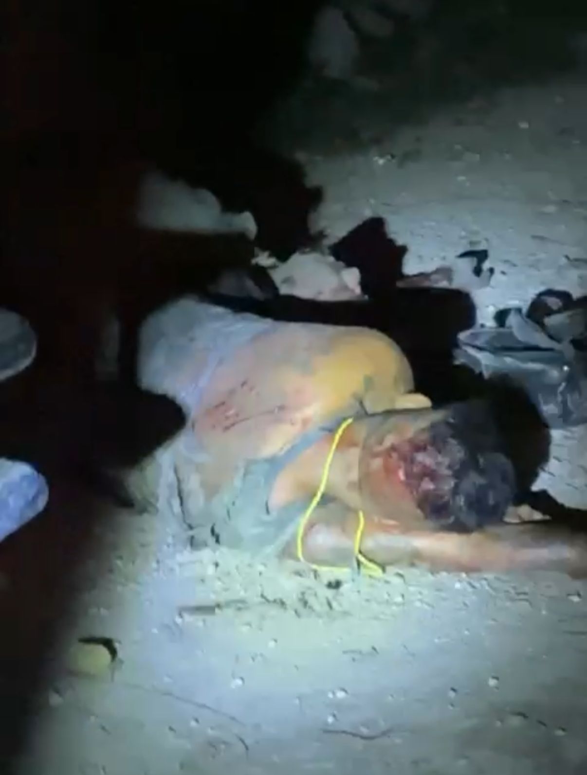 ad3e62eb-76b0-431d-90cc-d1ba6152dfd9