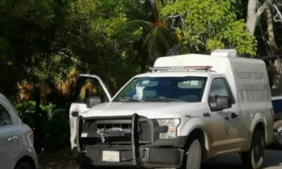 b3e41f4c-054d-4331-8ea9-28df21ffd318