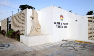 b6037433-e1d9-45d8-bbf6-7a97cf735fe4