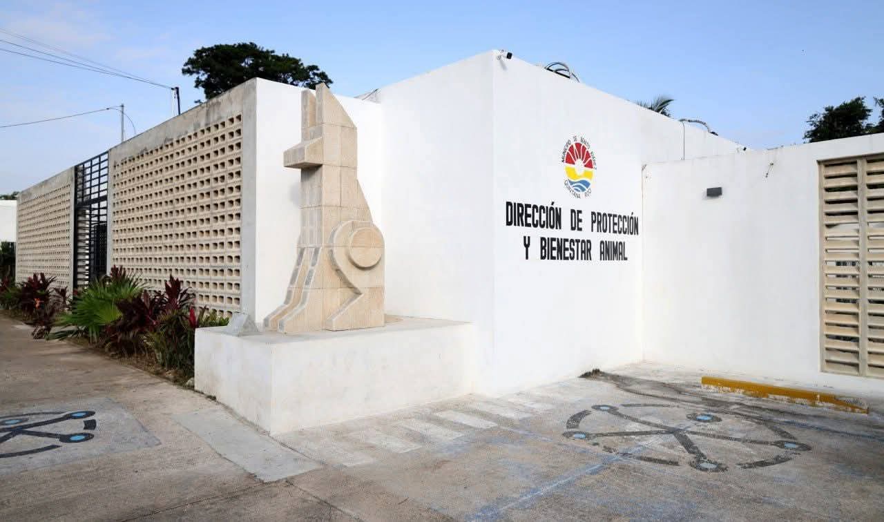 b6037433-e1d9-45d8-bbf6-7a97cf735fe4