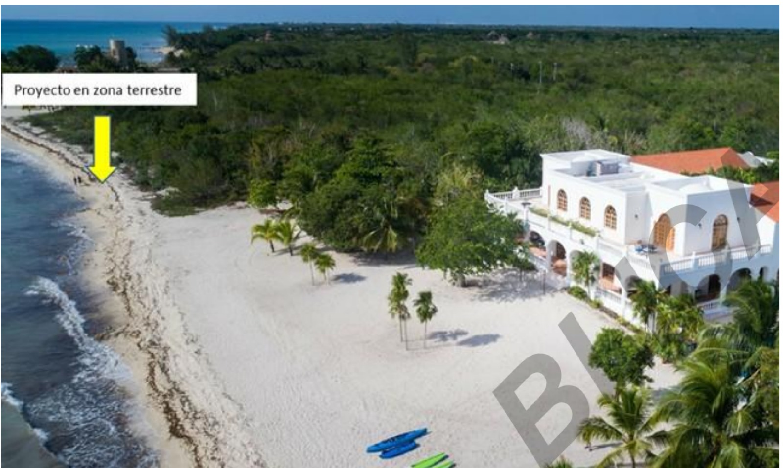 b9020533-e208-4ff3-b476-cd048f1056eb