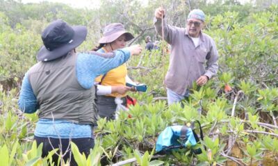 d6eca1e3-d16d-4acc-8c15-7eb5e5b53920