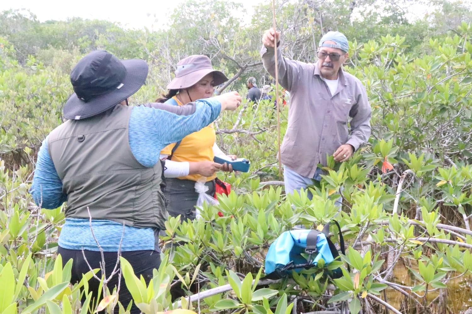 d6eca1e3-d16d-4acc-8c15-7eb5e5b53920