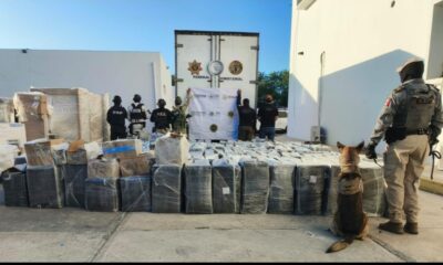 d9628acd-6130-479f-830c-9de69b044523