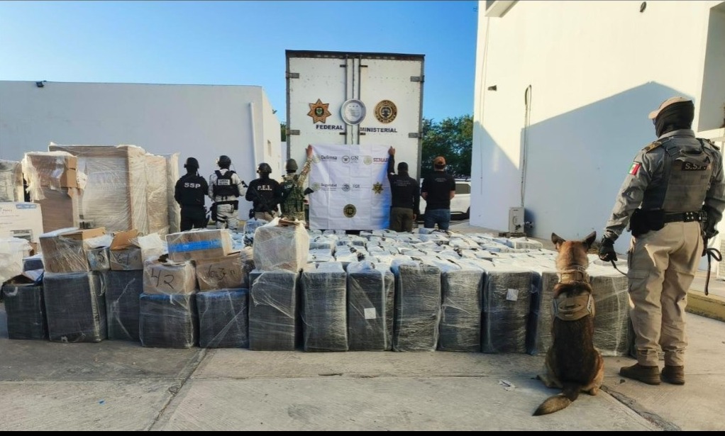 d9628acd-6130-479f-830c-9de69b044523