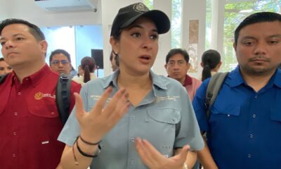 e8b593ca-bc1a-4459-a488-190149f4ddd3