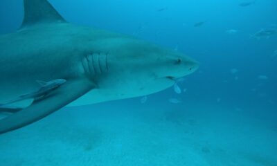 fa959be2-5d54-4c7f-abc8-b3f3f3ab4f47