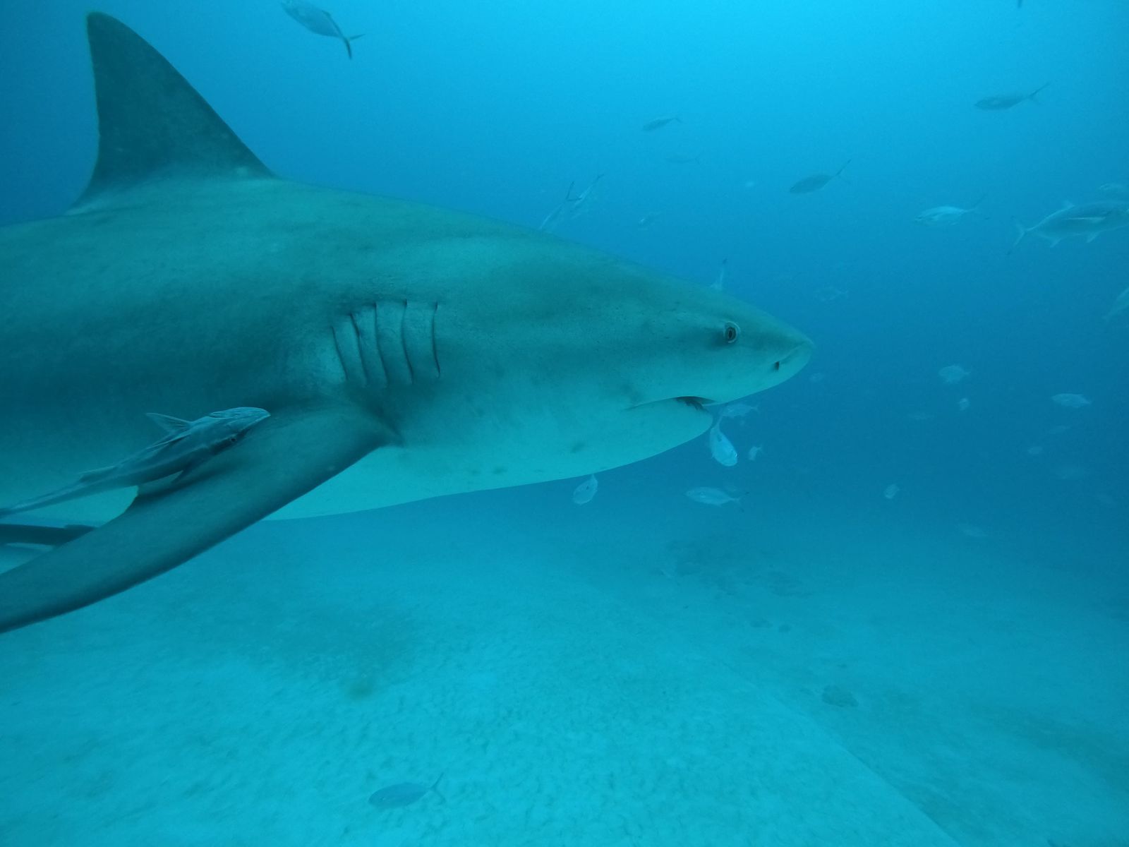 fa959be2-5d54-4c7f-abc8-b3f3f3ab4f47