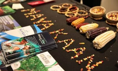 15b19164-51fb-4931-923d-3b6442487625