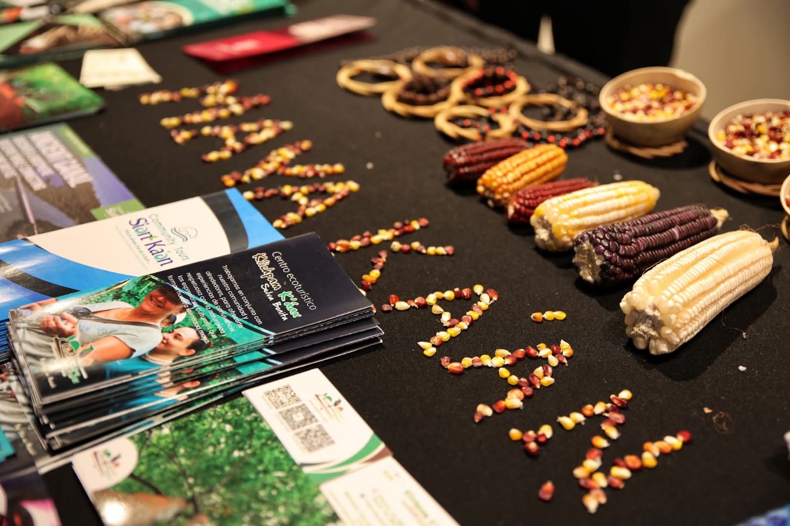 15b19164-51fb-4931-923d-3b6442487625