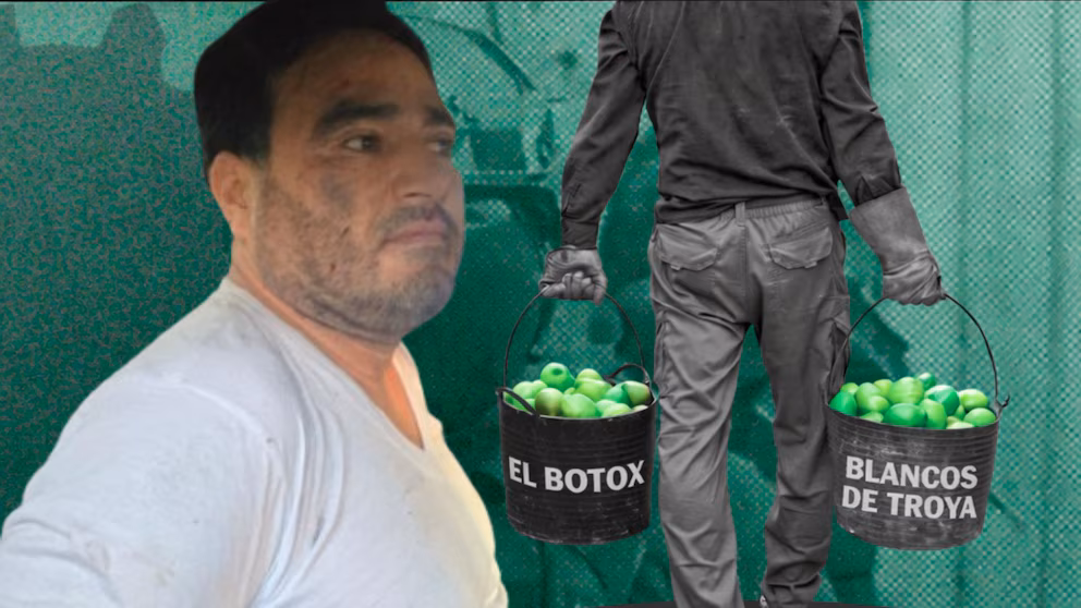 22XMGW6BHVCPBPDSYC4UAN6KWE