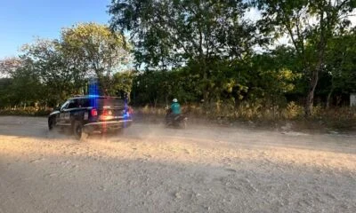 56b08775-c94d-4328-a15b-0c59e6e5b14f