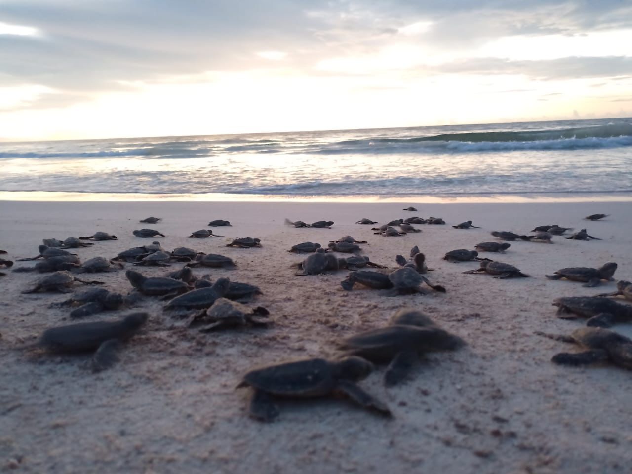 7eaae893-3f18-4918-9f4d-580556326d2c