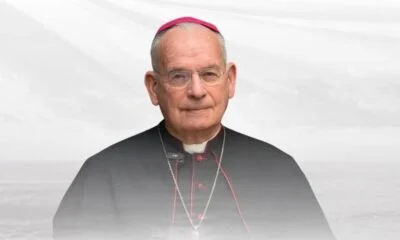 8a586f98-6782-44c6-a29a-a7196cfd9d52