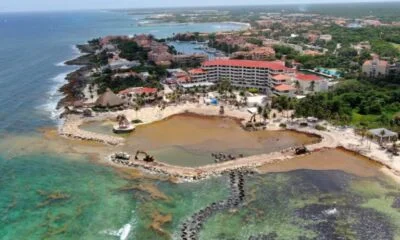 IMG-20210811-WA0015-768×576