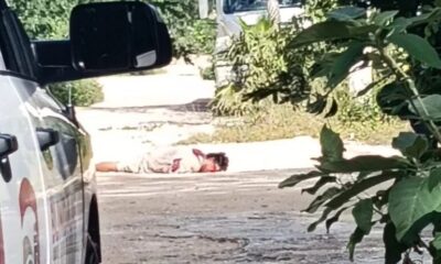 b5d758fc-7643-471a-8ddf-59e5773b3c91