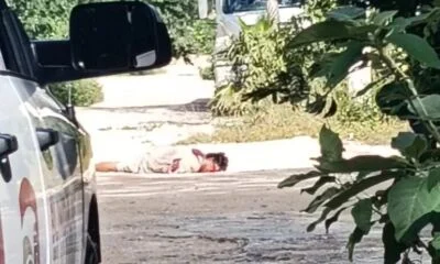 b5d758fc-7643-471a-8ddf-59e5773b3c91